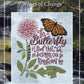 Silver Creek Sampler