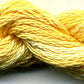 DD Apricot