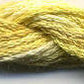 DD Sunflower