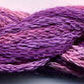 DD Fuschia